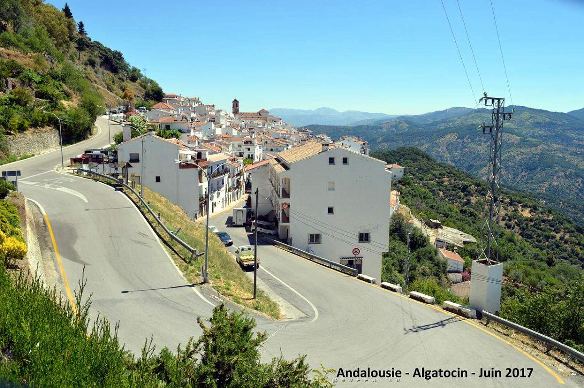 632- Algatocin.JPG